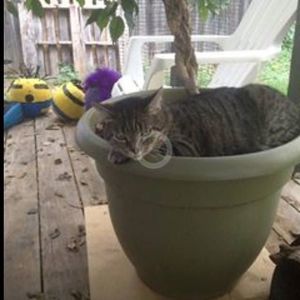 Meet your Posher, Heidi